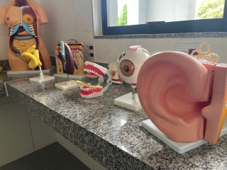 1ced0617-4cab-4c7d-aa29-0a794875fecc